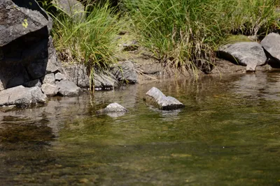 DSC_3625 (Large).JPG